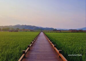 Vue sur la baie de Suncheon en Corée du Sud
